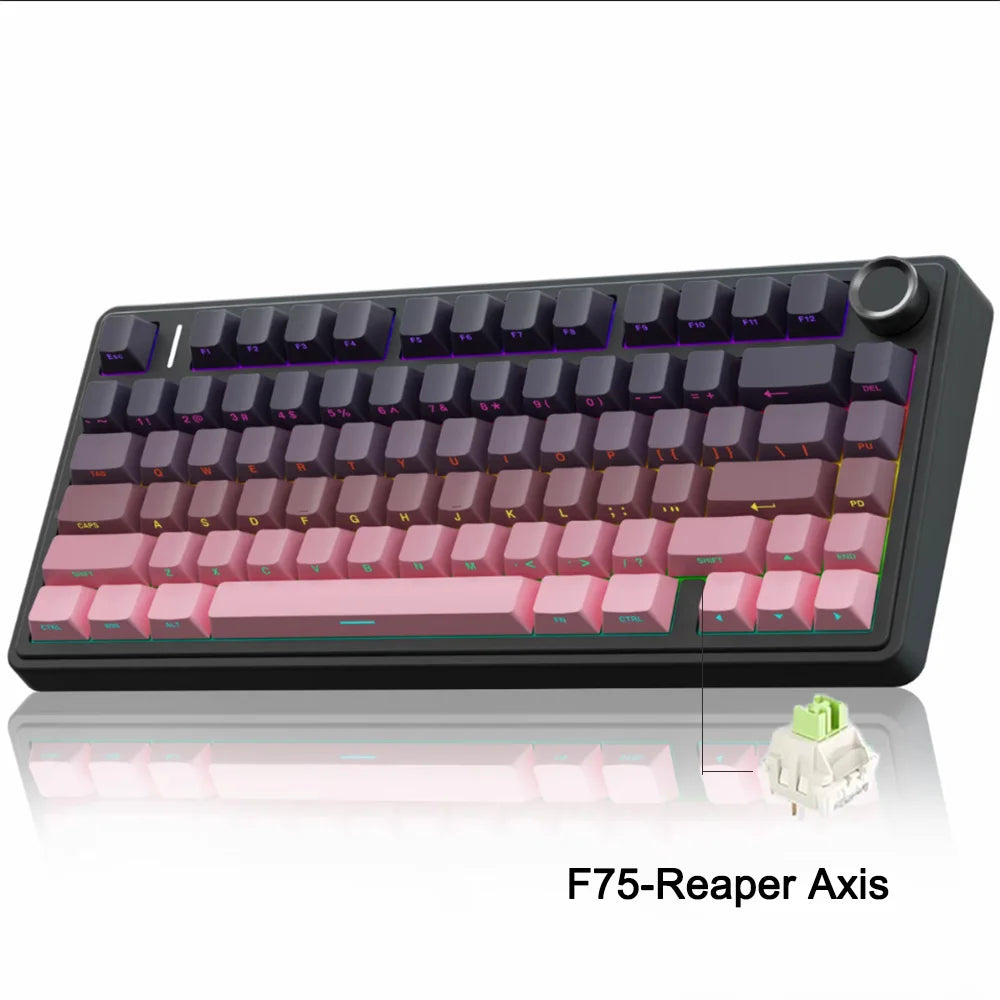AULA F75