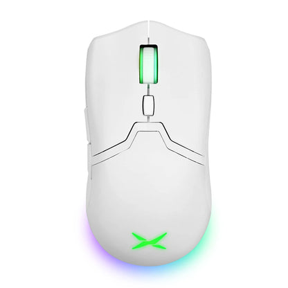 Delux M800 PAW3395 Wireless Gaming Mouse