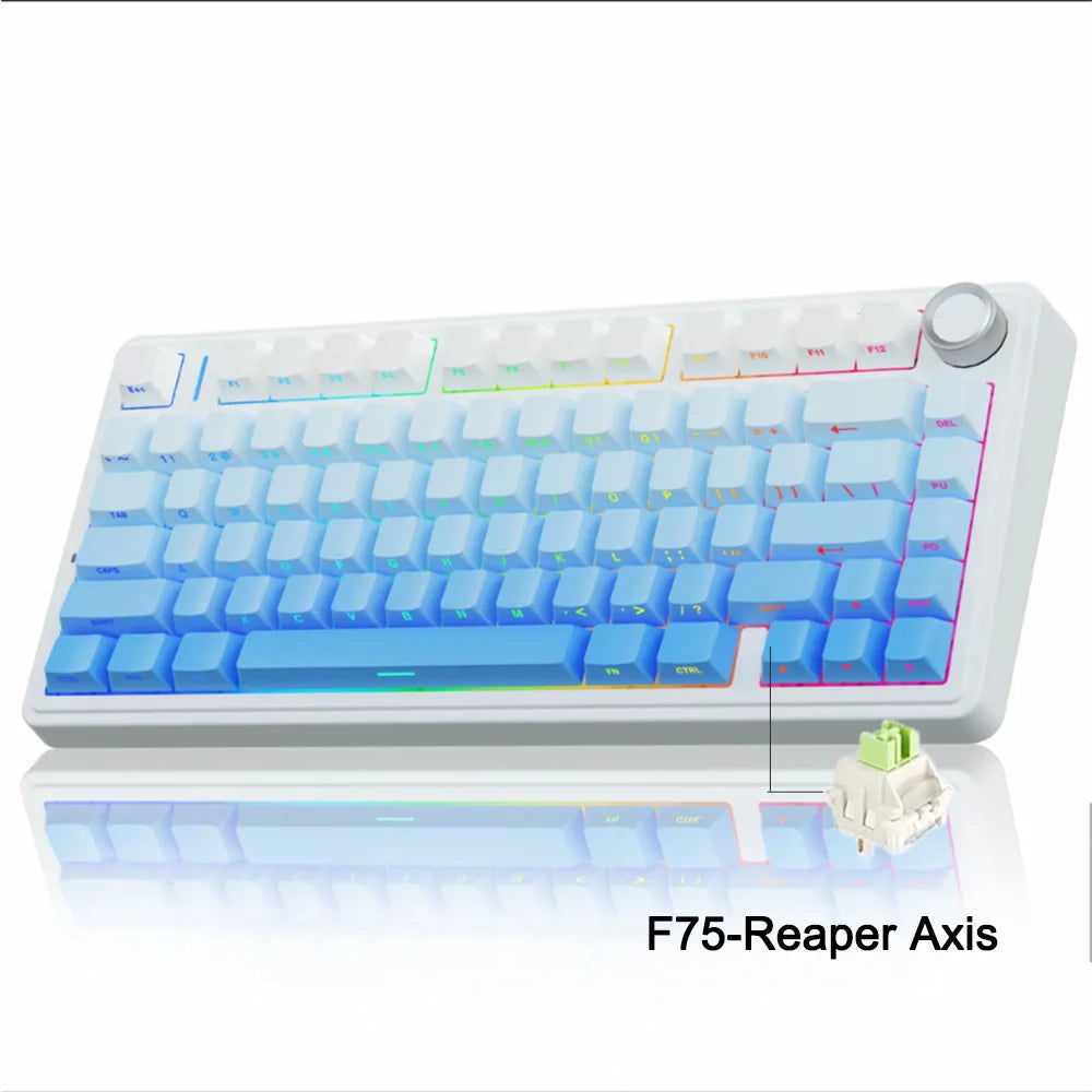 AULA F75