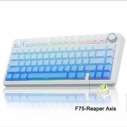 AULA F75