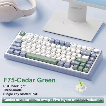 AULA F75